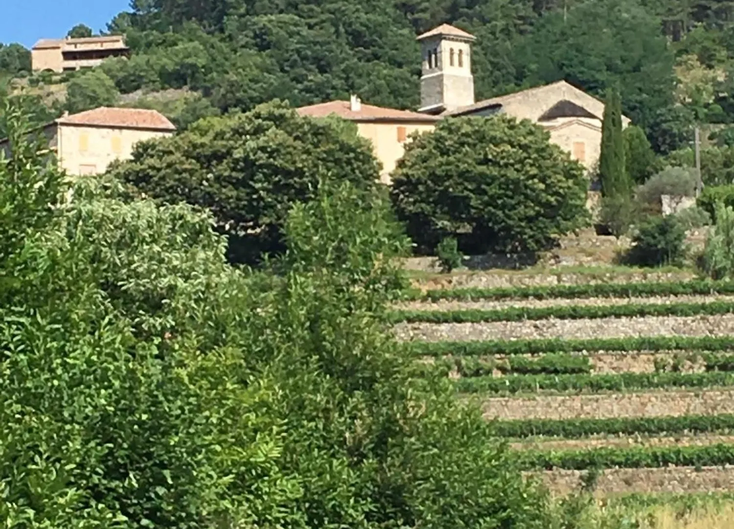 La Terrasse Des Cevennes Bed & Breakfast Ribes France