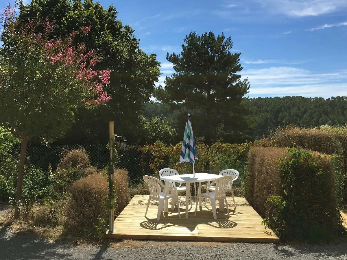 La Terrasse Des Cevennes Bed & Breakfast Ribes